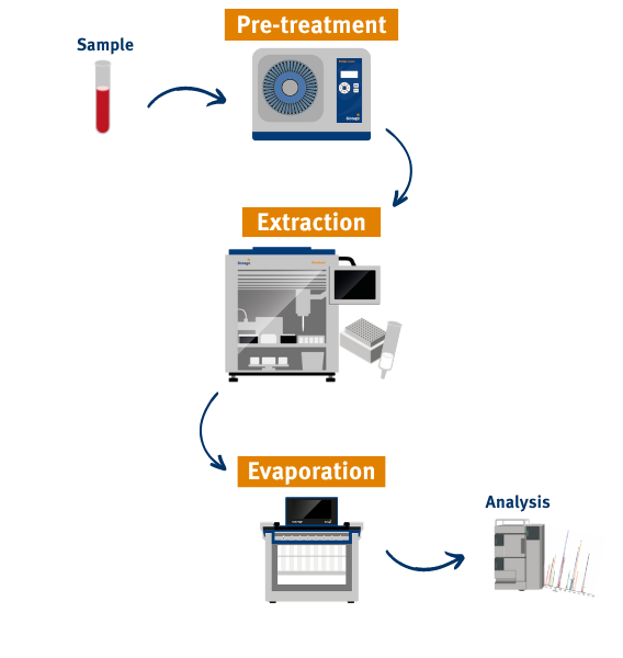 workflow vertical 2