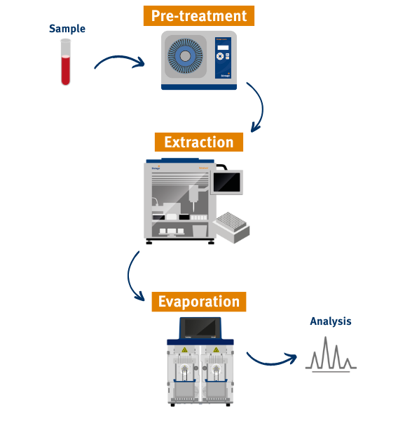 bioanalytical workflow vertical