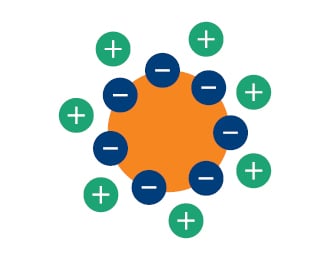 BIOMARK2.129 - Chromatoghaphy Resins Card Image3