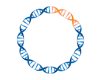 BIOMARK002.124 - Plasmid Card Image