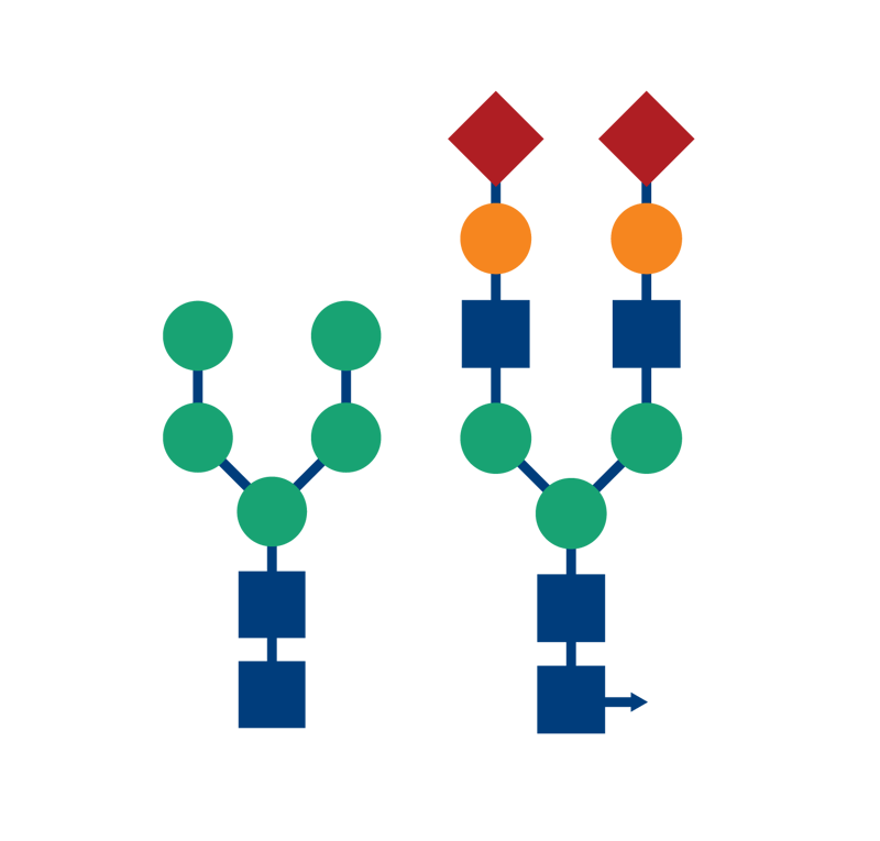 biomark002.396 - Glycan Enrichment