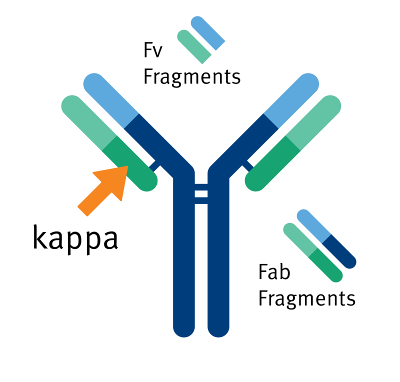 biomark002.402 - Capture Select KappaXL