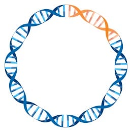 BIOMARK2-124 - Plasmid Card Image