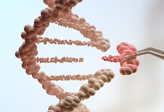 Blog image - Plasmid purification 1 Feature 1