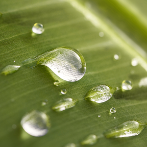 Greener Flash Chromatography Thumb