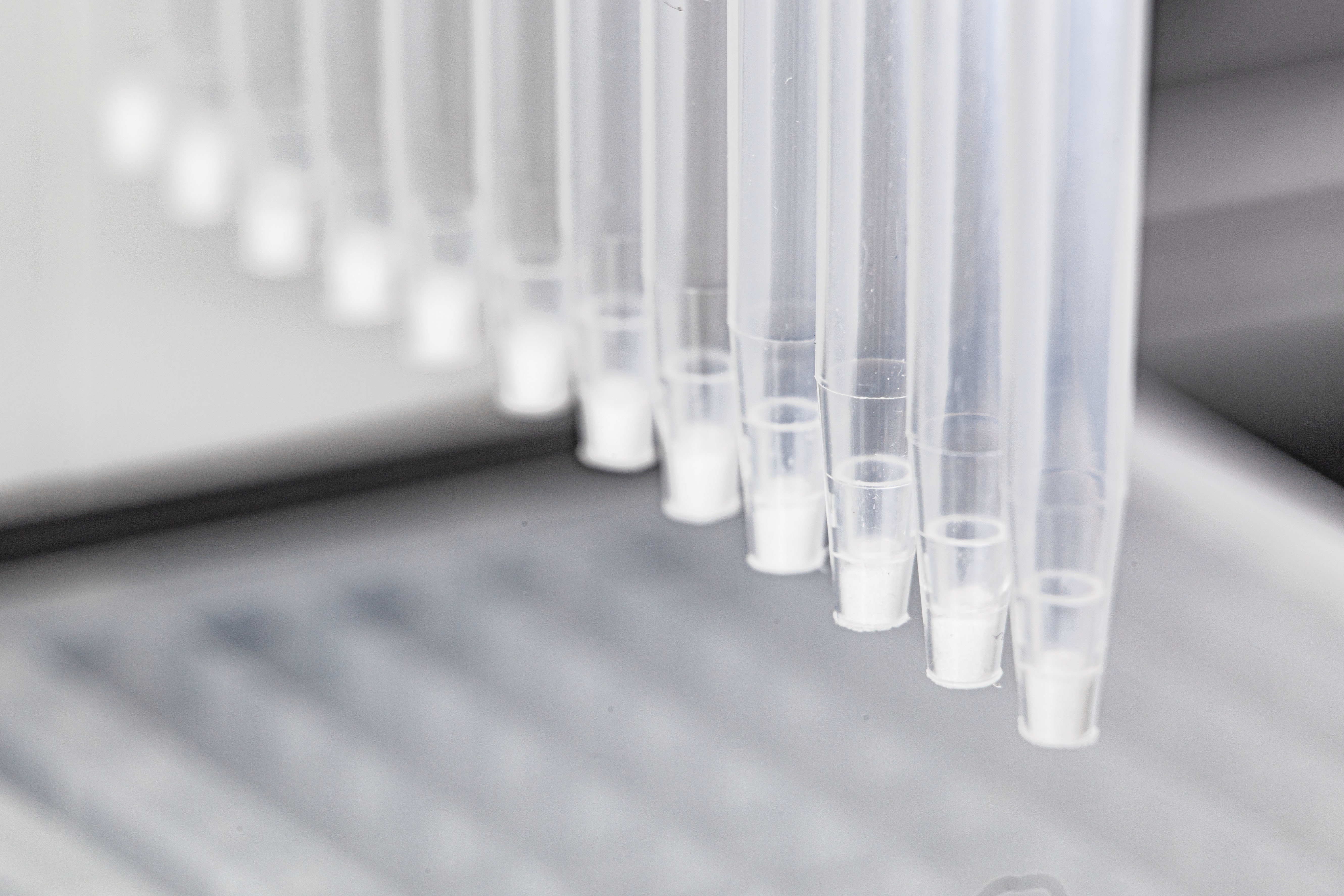 PhyTip columns for protein a purification